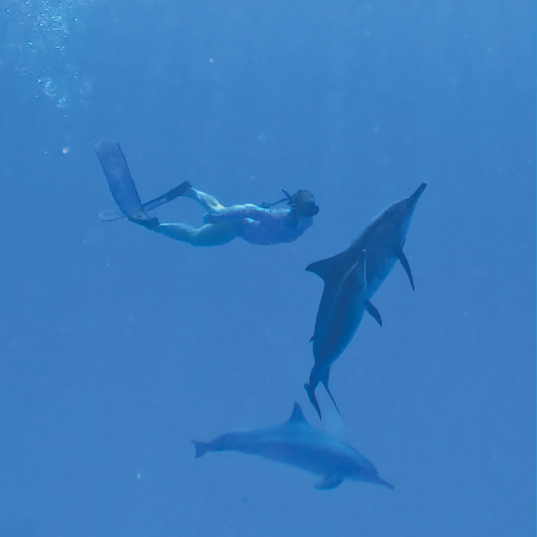 Ingrid Bott Carousel | Yoga Sailing and Dolphins Retreat Image 5