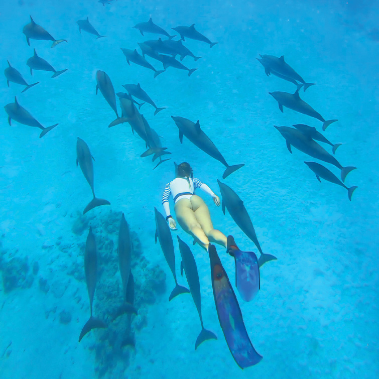 Ingrid Bott Carousel | Yoga Sailing and Dolphins Retreat Image 8